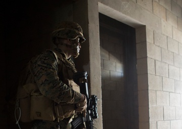 Echo Company Helo Raid