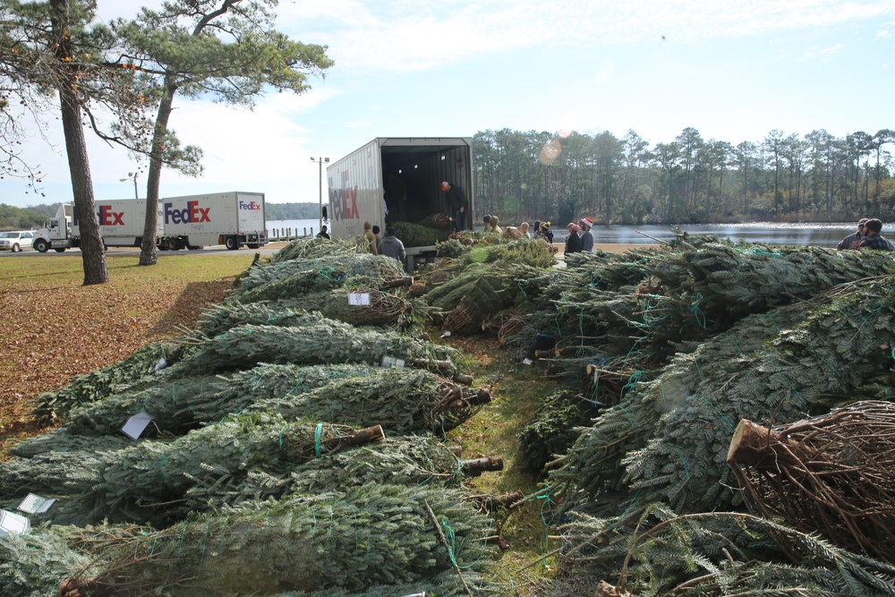 Trees for Troops spreads Christmas cheer at Cherry Point