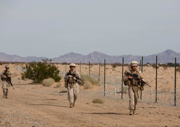 Sand Sharks Bite into Pre-deployment Training
