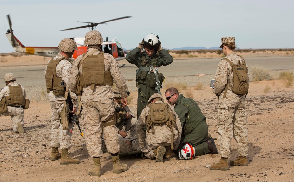 Sand Sharks Bite into Pre-deployment Training