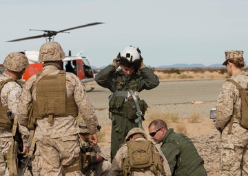 Sand Sharks Bite into Pre-deployment Training