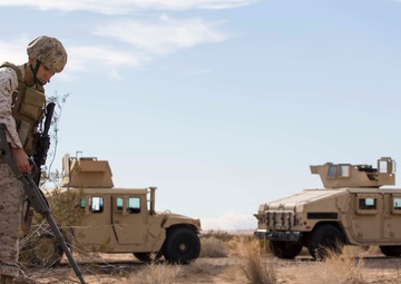 Sand Sharks Bite into Pre-deployment Training