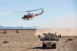 Sand Sharks Bite into Pre-deployment Training