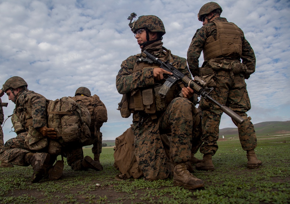 Weapons Company Marines put lead on targets