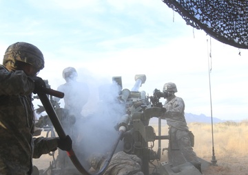 Howitzer team proves tough during Exercise Iron Strike