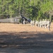 Cottonbalers focus on live-fire training