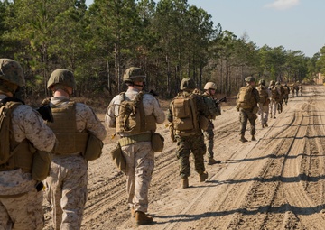 Forward Focus: ANGLICO tests their readiness