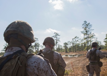 Forward Focus: ANGLICO tests their readiness