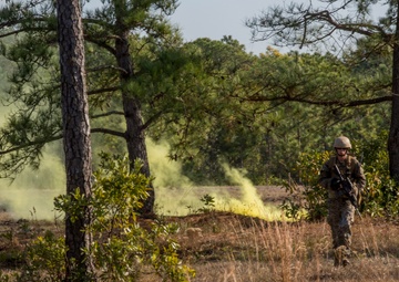 Forward Focus: ANGLICO tests their readiness