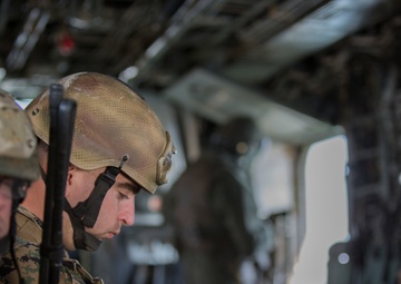 Forward Focus: ANGLICO tests their readiness