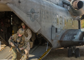 Forward Focus: ANGLICO tests their readiness