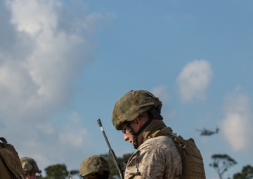 Forward Focus: ANGLICO tests their readiness