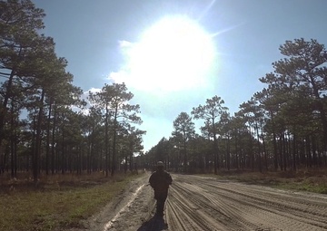 Forward Focus: ANGLICO tests their readiness