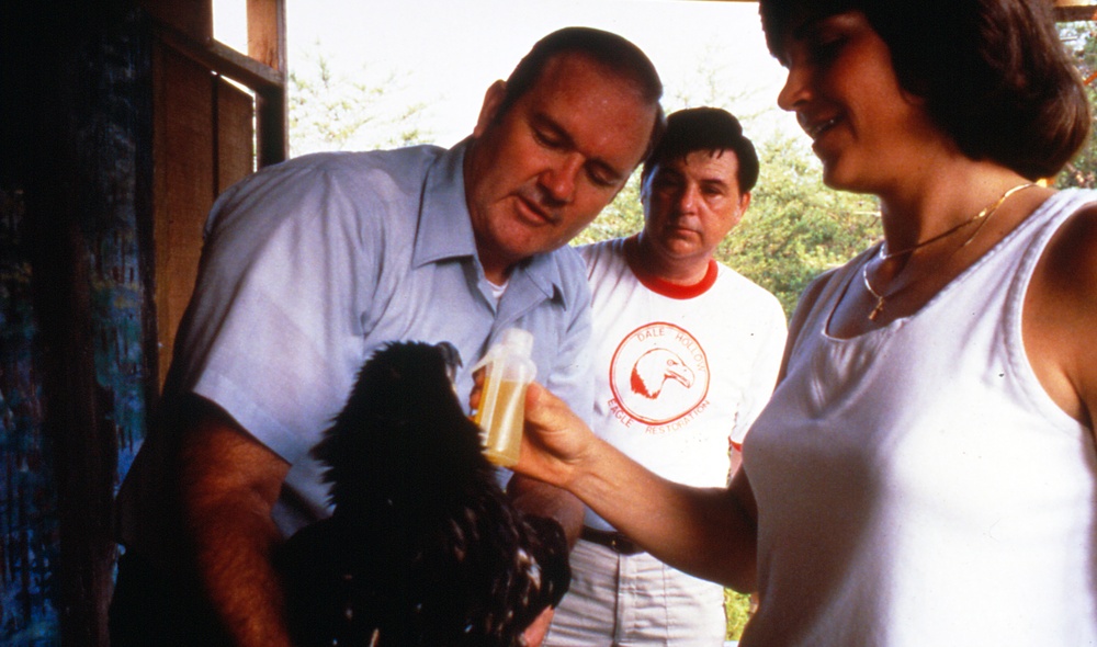 Restoring American Bald Eagle to upper Cumberland region a tall tale