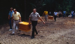 Restoring American Bald Eagle to upper Cumberland region a tall tale