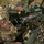 ANGLICO Awakens Range 10