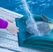 Coast Guard assists sea turtle release