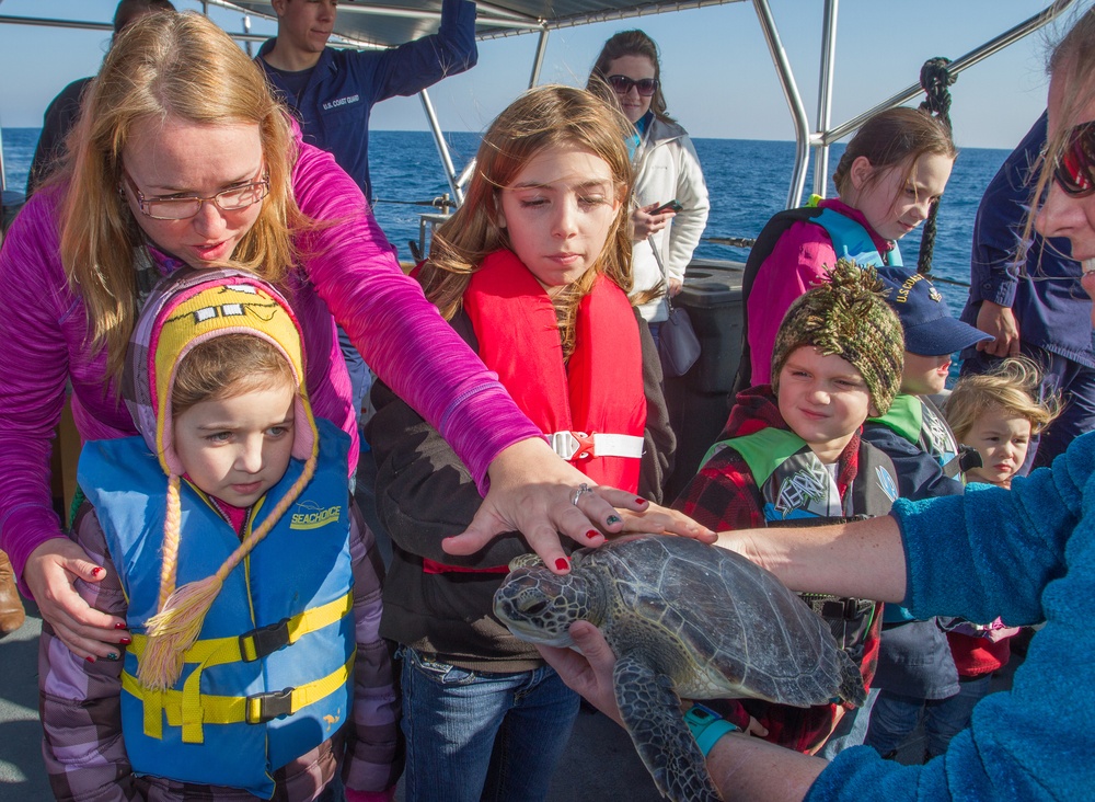 Coast Guard assists sea turtle release