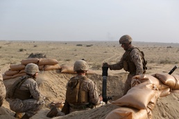 It’s the FinEx Count Down!