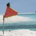 Island anticipation