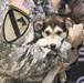 Alaska Guardsman’s kennel offers healing to battle wounded, weary