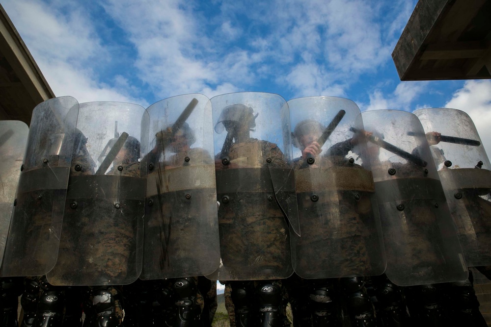 Shoulder to Shoulder: Marines amplify nonlethal capabilities