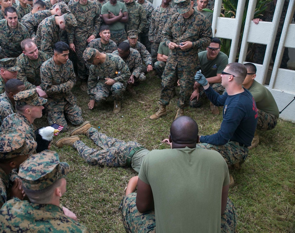 Shoulder to Shoulder: Marines amplify nonlethal capabilities