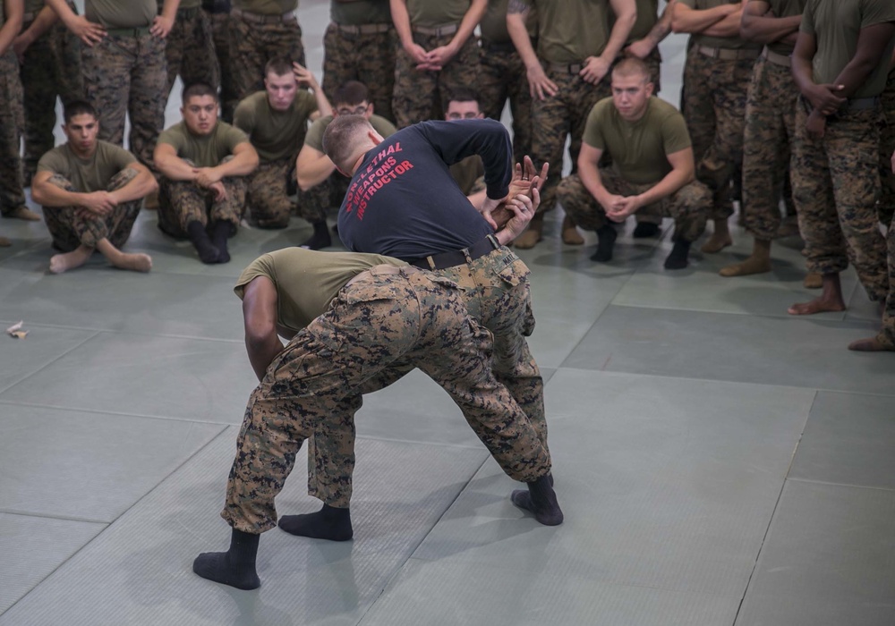 Shoulder to Shoulder: Marines amplify nonlethal capabilities