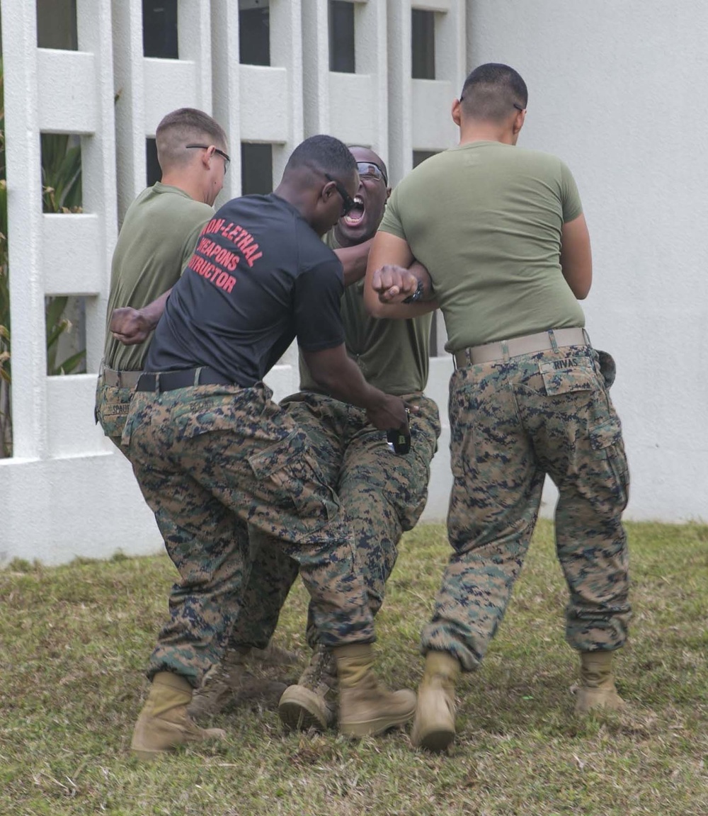 Shoulder to Shoulder: Marines amplify nonlethal capabilities