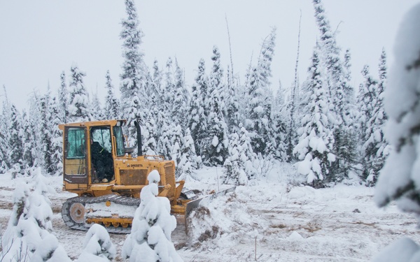 Into the wild: Ice bridge closes the gap