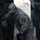 Unit receives the Army Award for Maintenance Excellence