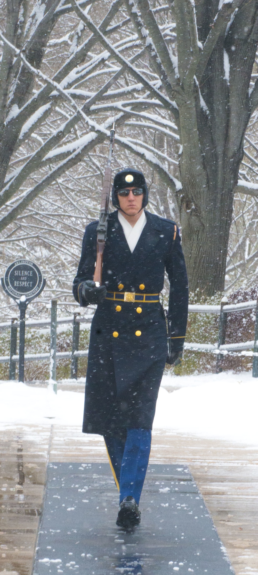 Tomb Guard sentinel in snow