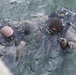 Dive Deep or Go Home!