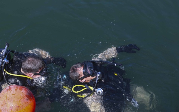 Dive Deep or Go Home!