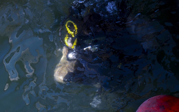 Dive Deep or Go Home!