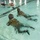 Water Survival Training Exercise