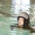 Water Survival Training Exercise