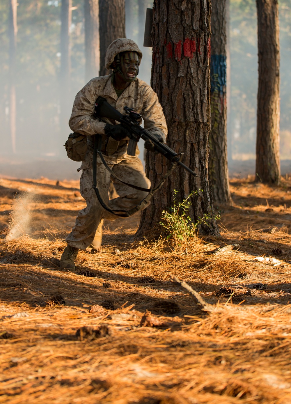 Marine recruits tackle Parris Island combat training course