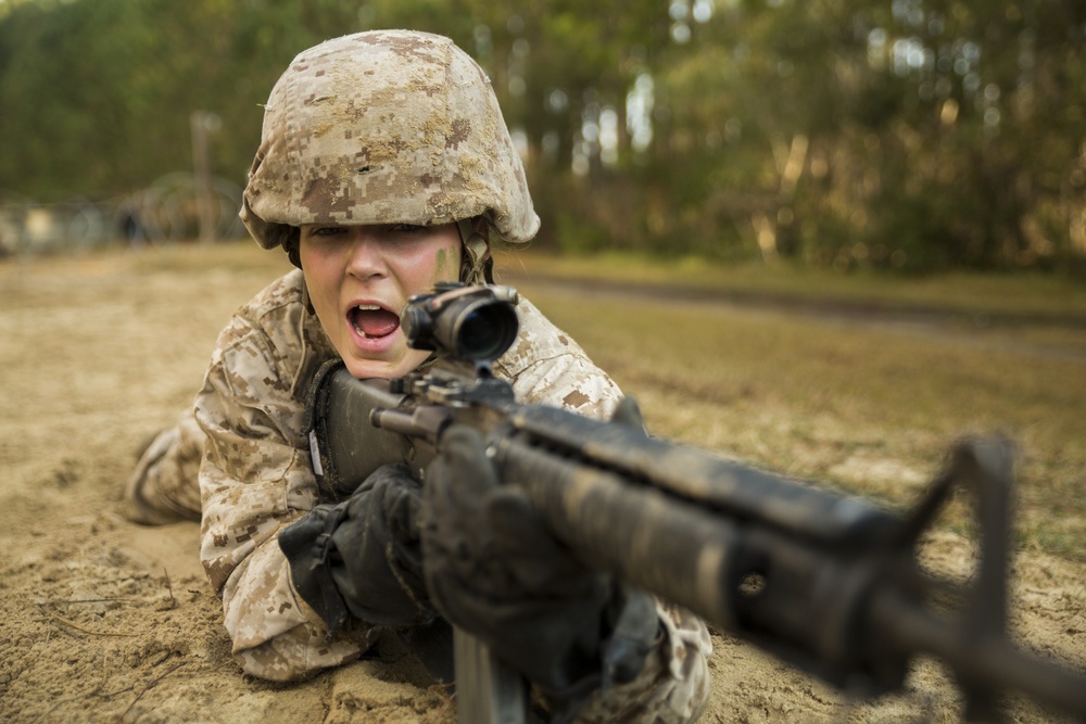 Marine recruits tackle Parris Island combat training course