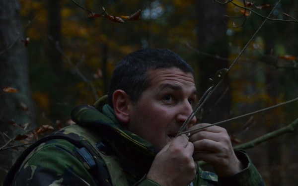 Combined Resolve III