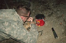 EOD forges interagency relationships