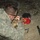 A soldier in US Army ACU (Army Combat Uniform) is closely examining or working on an object on the ground at night. A red Folgers coffee can is visible nearby, along with tools including pliers and a flashlight. The scene appears to be an IED (improvised explosive device) render-safe or investigation operation.