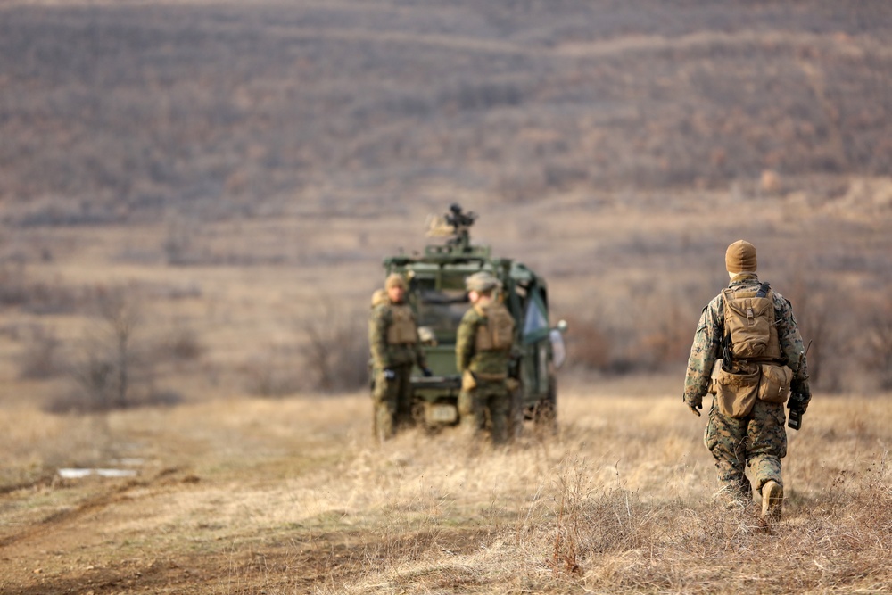 Marines Prepare for Platinum Lion through Live Fire Exercise