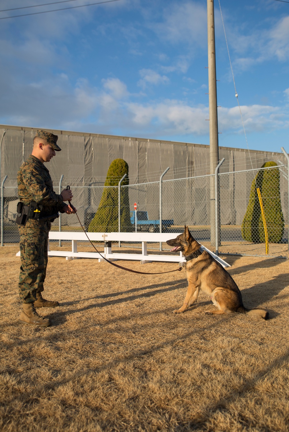 Military working dogs benefit military police