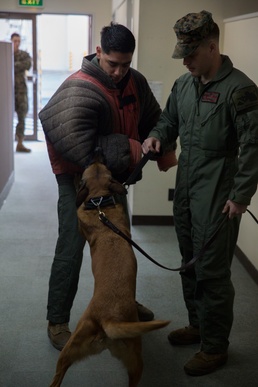 Military working dogs benefit military police