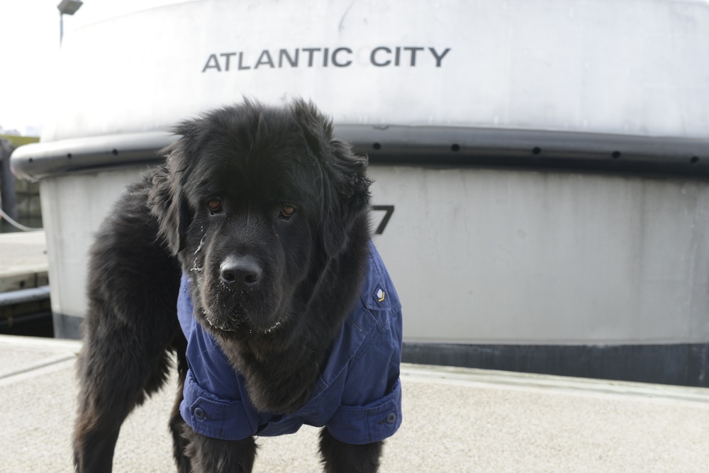 Coast Guard Station Atlantic City's mascot