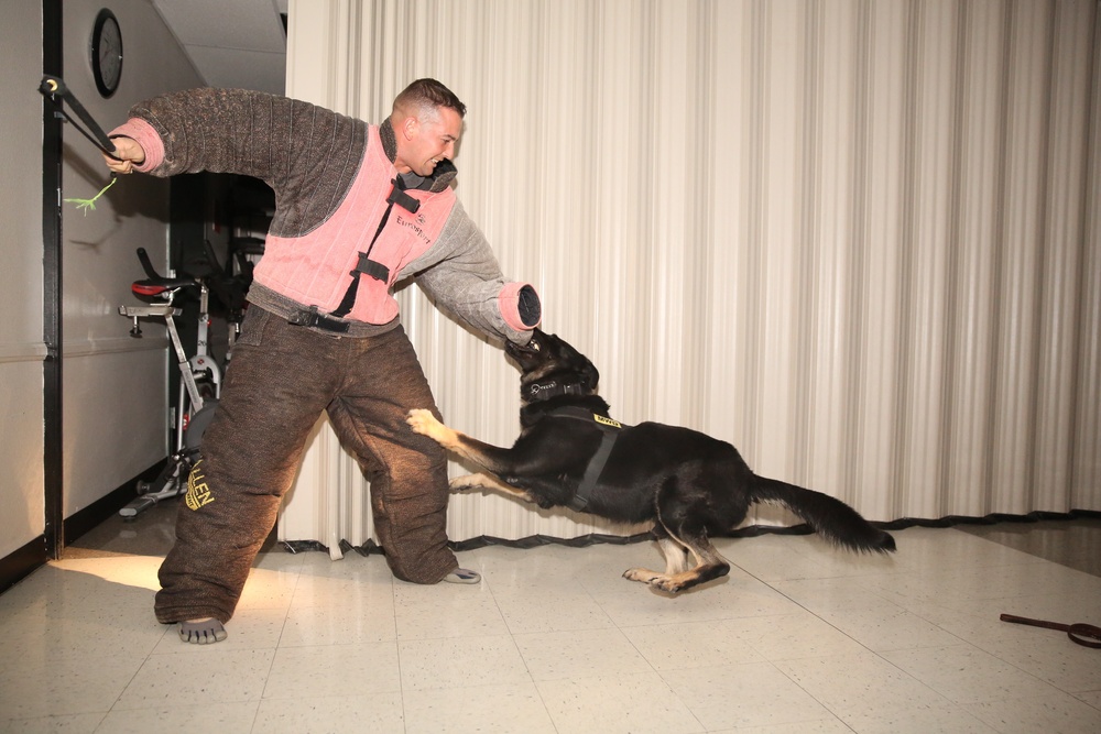 PMO K9 division maintains readiness with night training