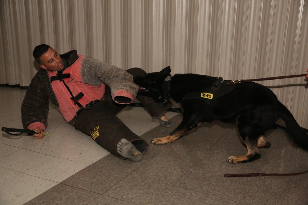 PMO K9 division maintains readiness with night training