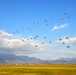 Airborne operation at Juliet Drop Zone in Pordenone, Italy, Jan. 13