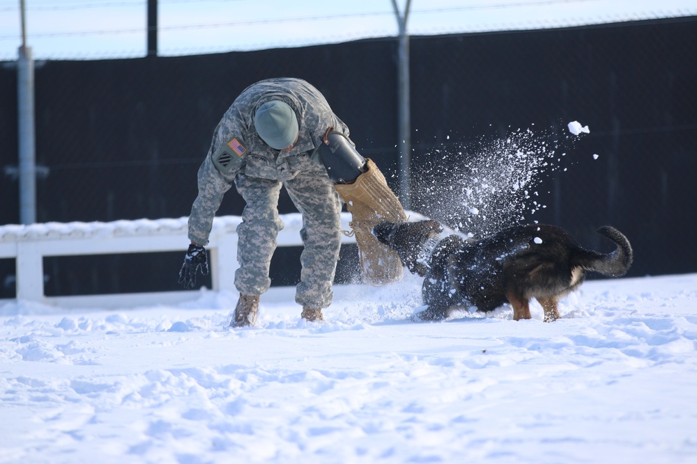 Bite training at Bondsteel